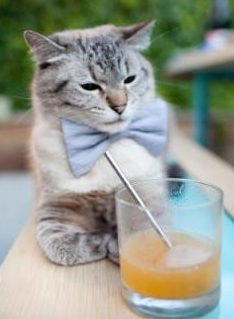 塞内加尔队后卫吉梅内斯在巴黎奥运会上表现出色,何塞·吉梅内斯