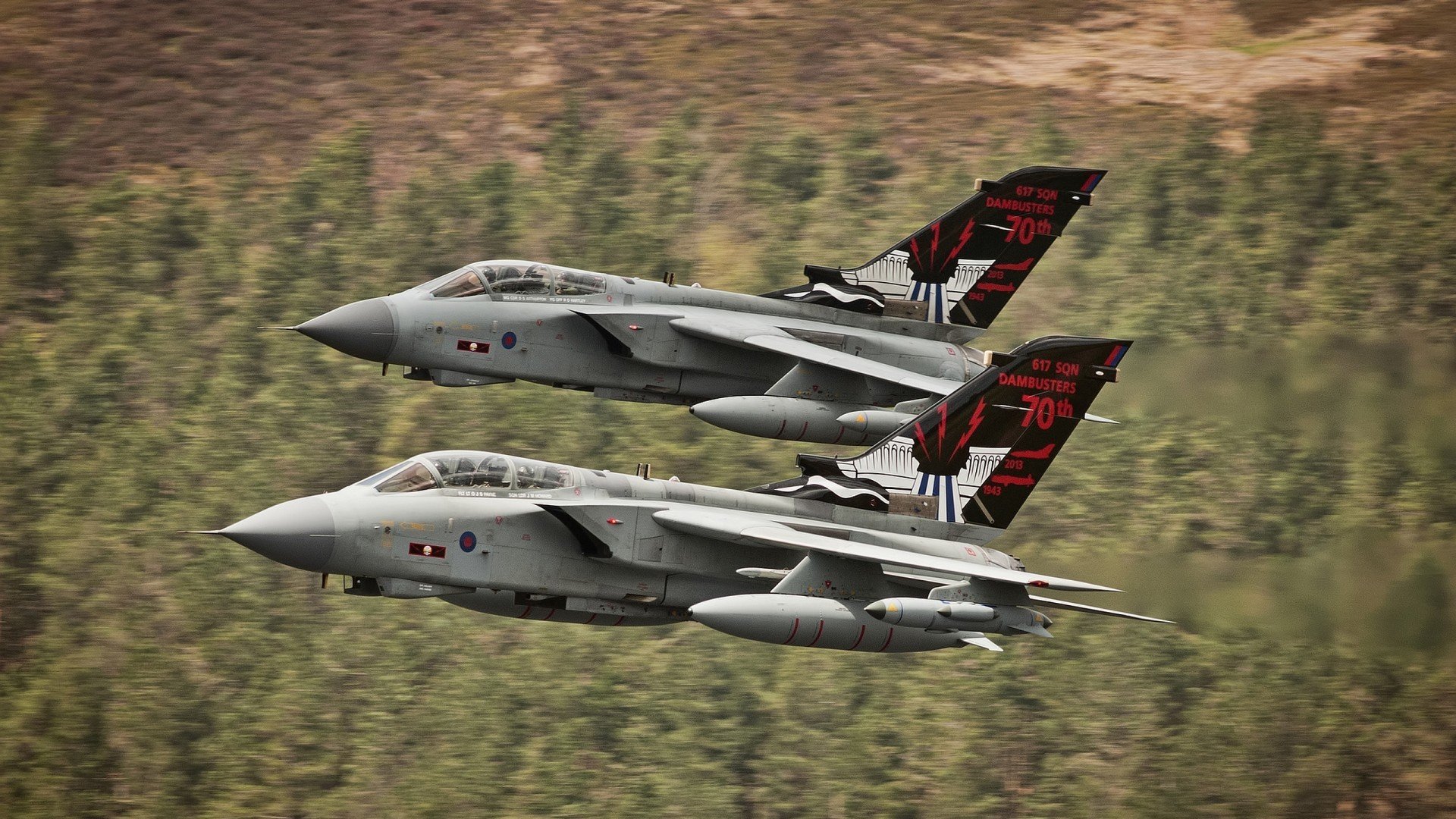 国际羽毛球邀请赛,名将云集赛场争锋,国际羽毛球联合会